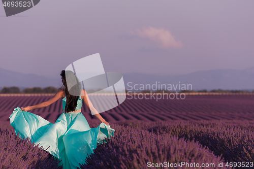 Image of woman in lavender flower field