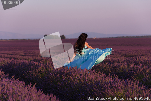 Image of woman in lavender flower field