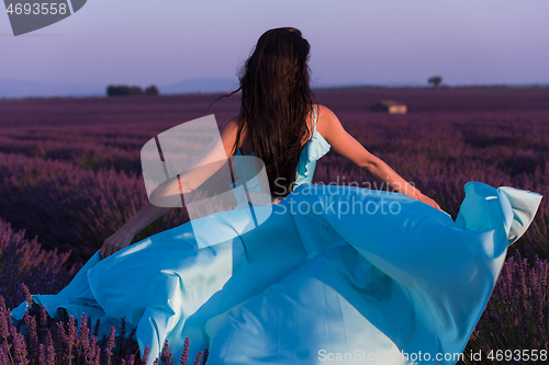 Image of woman in lavender flower field