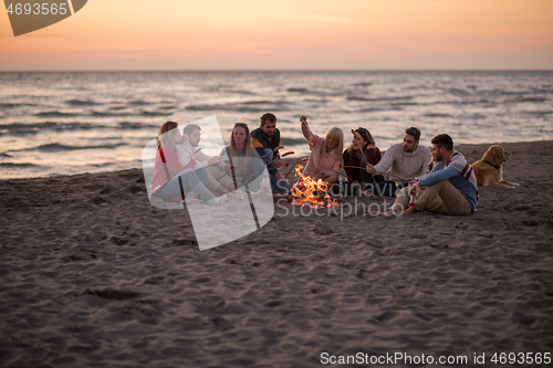 Image of Group Of Young Friends Sitting By The Fire at beach