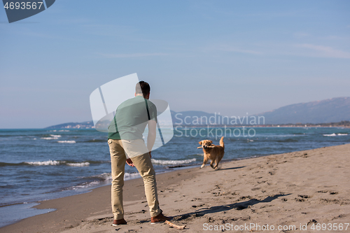 Image of man with dog enjoying free time on the beach