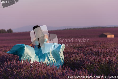 Image of woman in lavender flower field