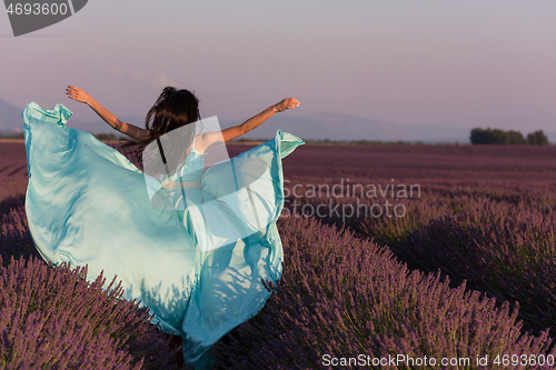 Image of woman in lavender flower field