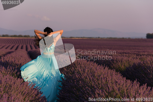 Image of woman in lavender flower field