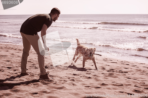 Image of man with dog enjoying free time on the beach