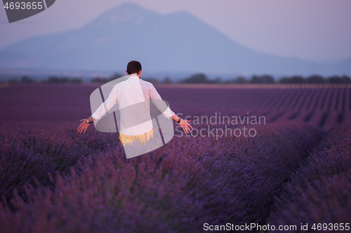 Image of man in lavender  field