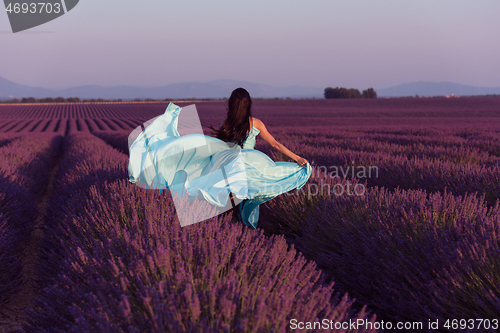 Image of woman in lavender flower field