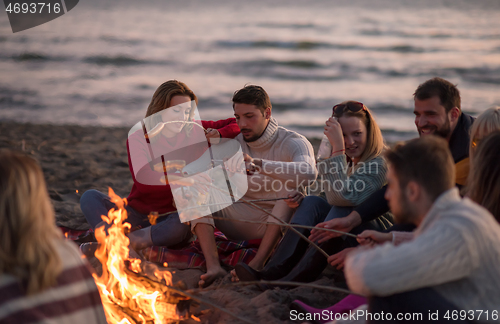 Image of Group Of Young Friends Sitting By The Fire at beach