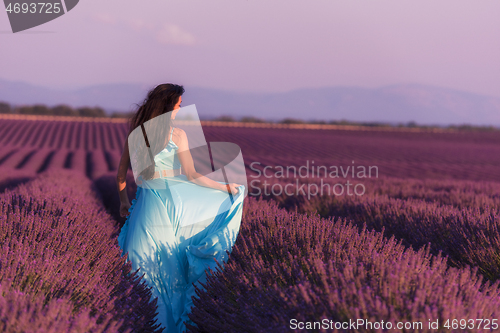 Image of woman in lavender flower field