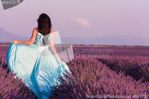 Image of woman in lavender flower field