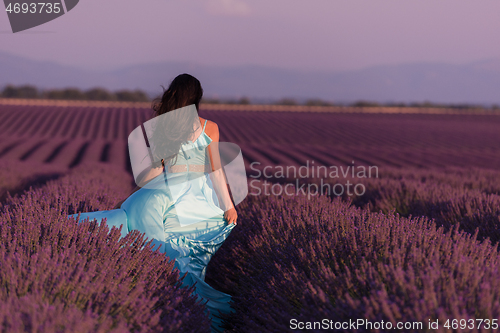 Image of woman in lavender flower field