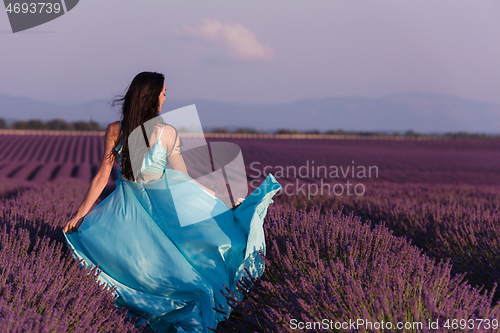 Image of woman in lavender flower field