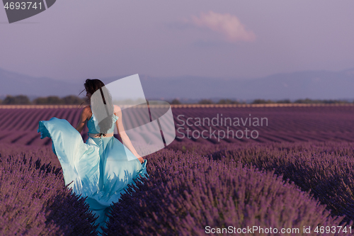 Image of woman in lavender flower field