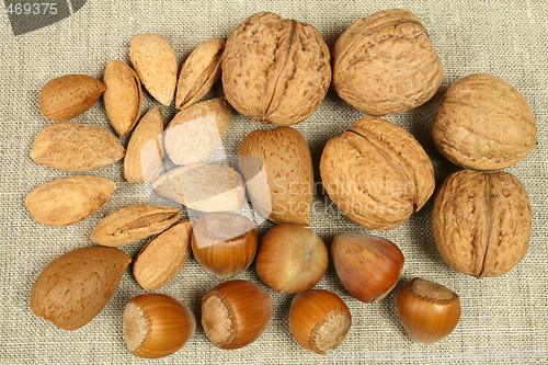 Image of Nuts