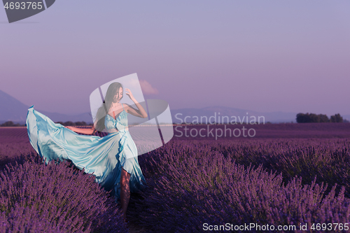 Image of woman in lavender flower field