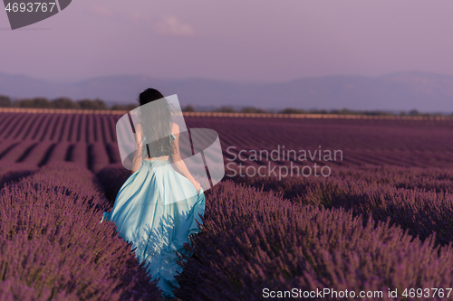 Image of woman in lavender flower field