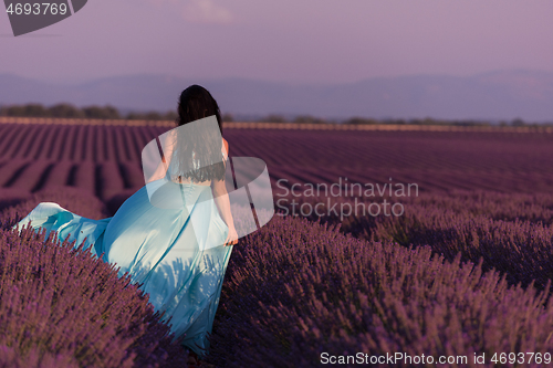 Image of woman in lavender flower field