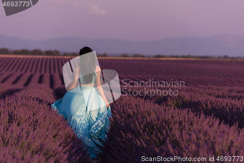 Image of woman in lavender flower field