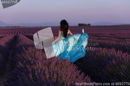 Image of woman in lavender flower field