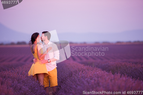 Image of couple in lavender field