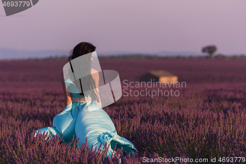 Image of woman in lavender flower field