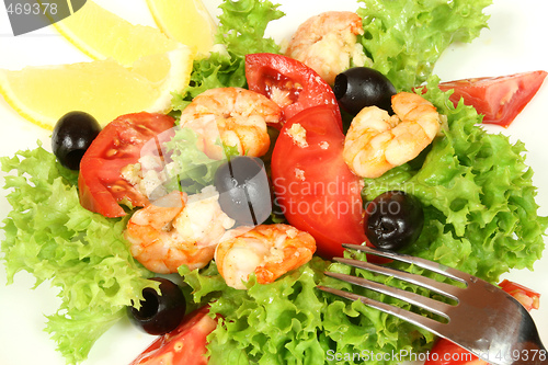 Image of Shrimps in salad