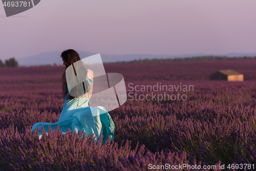 Image of woman in lavender flower field