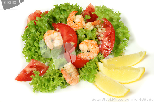 Image of Shrimp salad