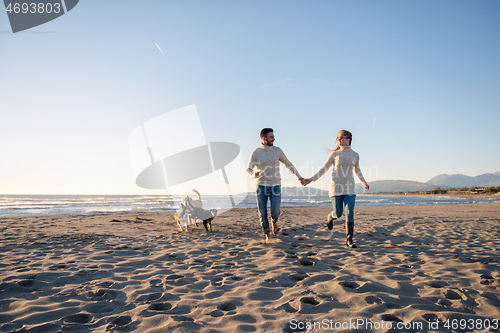 Image of couple with dog having fun on beach on autmun day