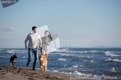 Image of couple with dog having fun on beach on autmun day