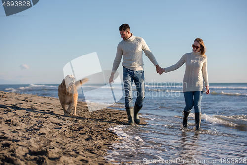 Image of couple with dog having fun on beach on autmun day