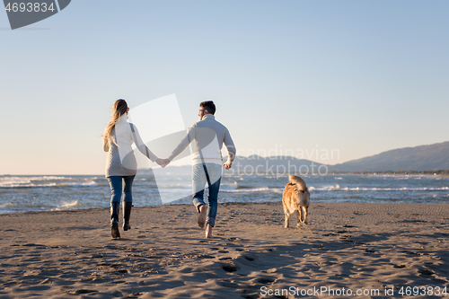 Image of couple with dog having fun on beach on autmun day