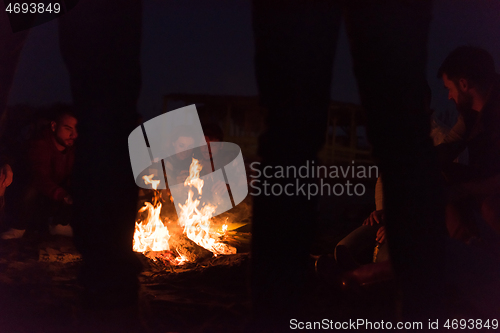 Image of Friends having fun at beach on autumn day