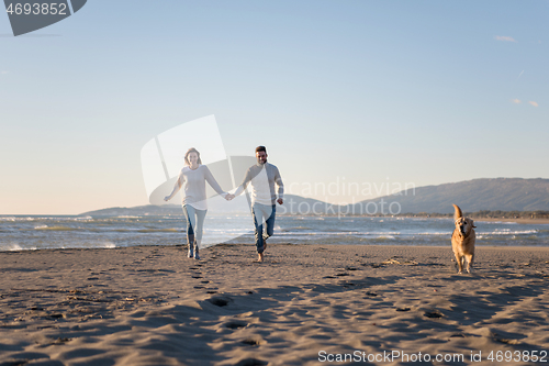 Image of couple with dog having fun on beach on autmun day