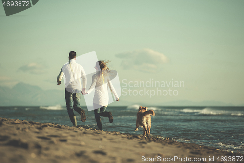 Image of couple with dog having fun on beach on autmun day