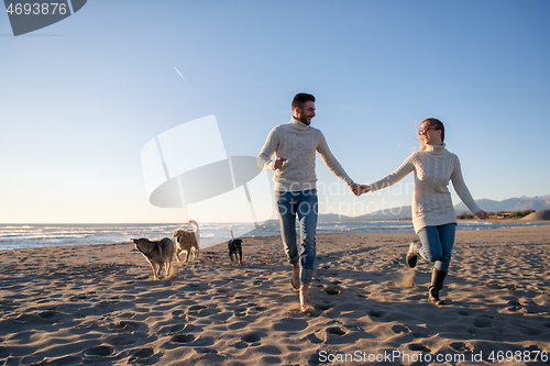 Image of couple with dog having fun on beach on autmun day