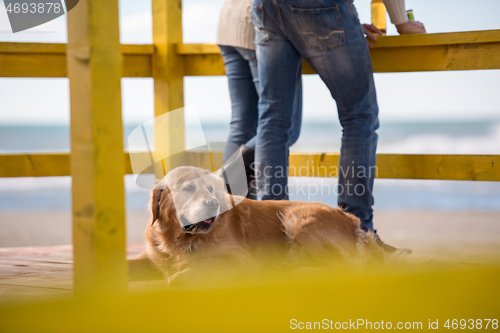 Image of young couple with a dog at the beach