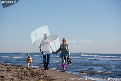 Image of couple with dog having fun on beach on autmun day