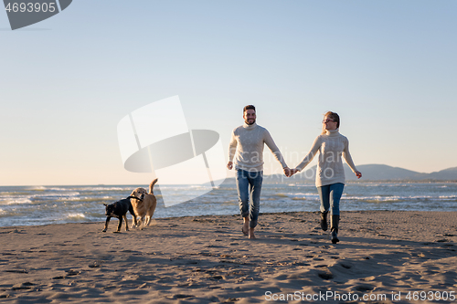 Image of couple with dog having fun on beach on autmun day