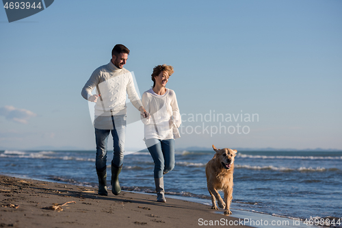 Image of couple with dog having fun on beach on autmun day