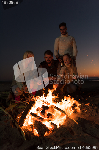 Image of Friends having fun at beach on autumn day