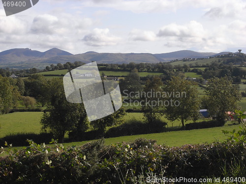 Image of County Down farmland