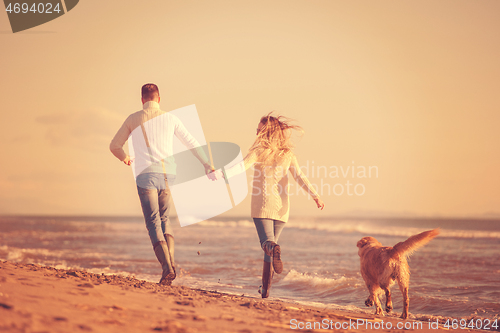 Image of couple with dog having fun on beach on autmun day