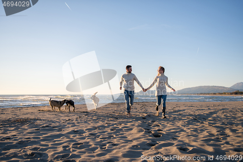 Image of couple with dog having fun on beach on autmun day