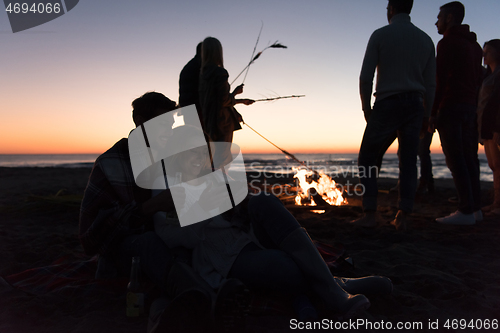 Image of Couple enjoying bonfire with friends on beach