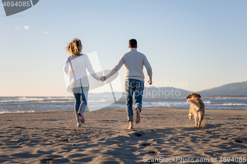 Image of couple with dog having fun on beach on autmun day