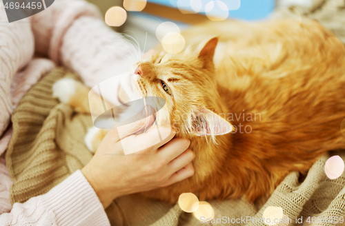 Image of close up of owner with red cat in bed at home