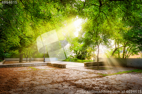 Image of Sun rays in park