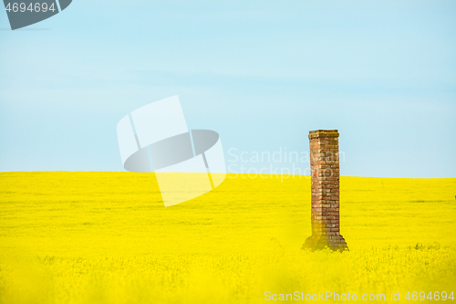 Image of Old brick chimney ruin rises from canola fields