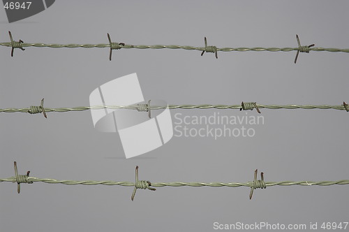 Image of Barb wire